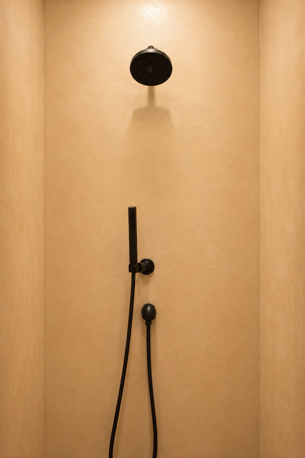 Walk-in shower with black fixtures